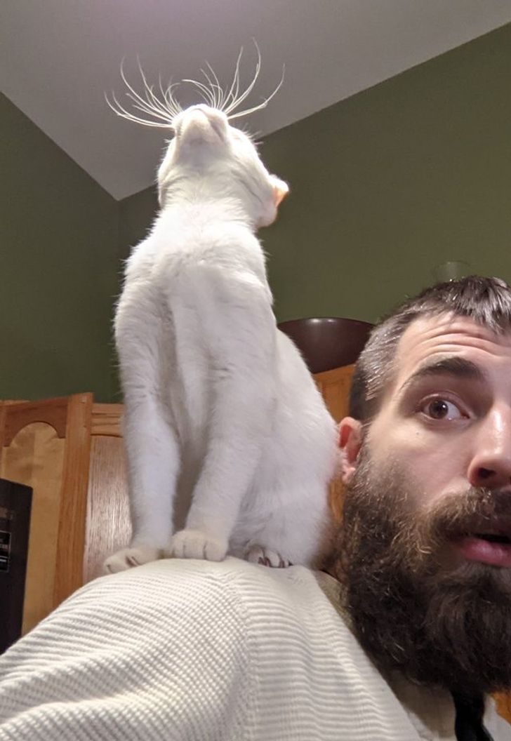 0555de51adb2ae91e6b40bd77a