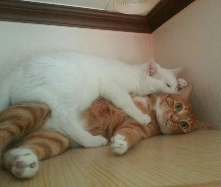 055da450939b6a8d3fc836fd8f 055da450939b6a8d3fc836fd8f