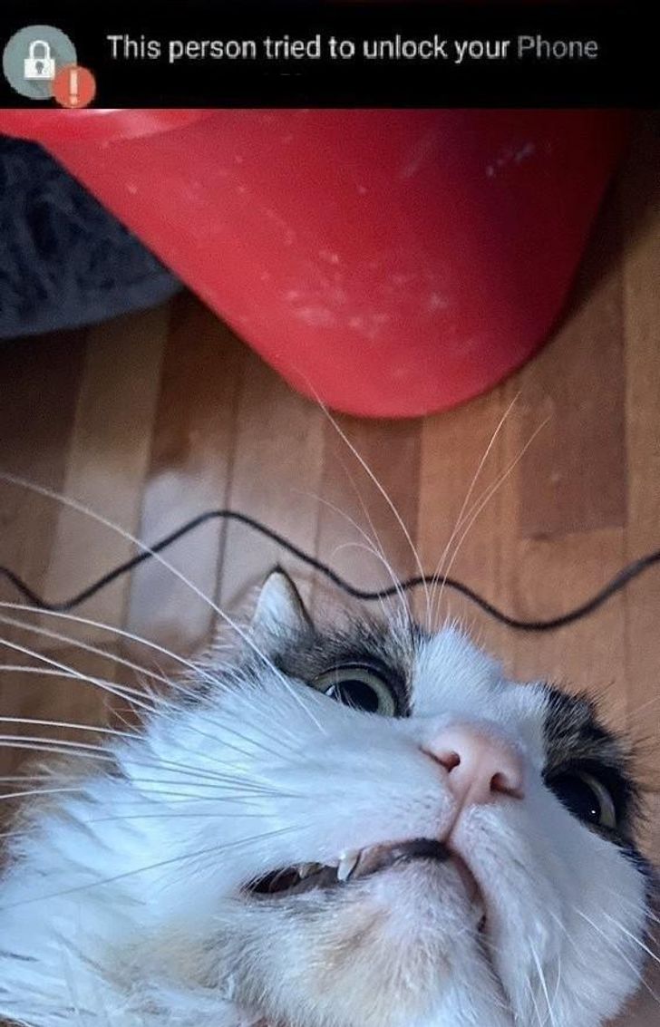 0560c356e59ed0c217b13427af