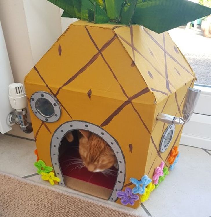 0567555816b609771b84a3b064