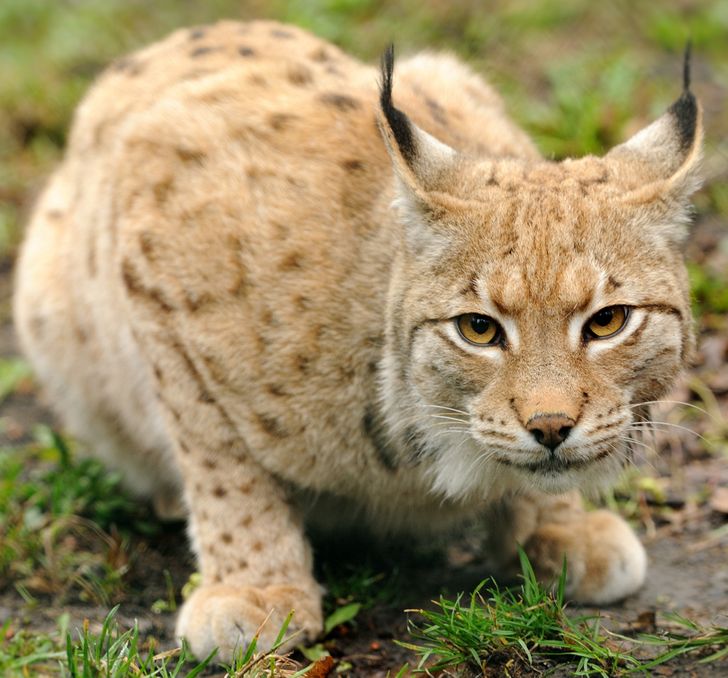 05783d503e97889d9fea45b30c