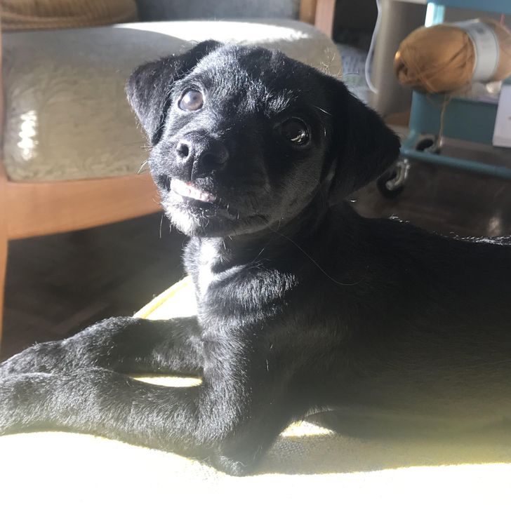 05843e59b78a5b001bb4eb72cd