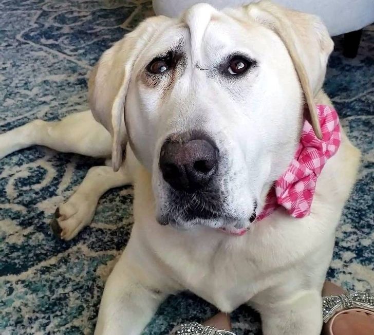 0593215c01912a2c7485947366