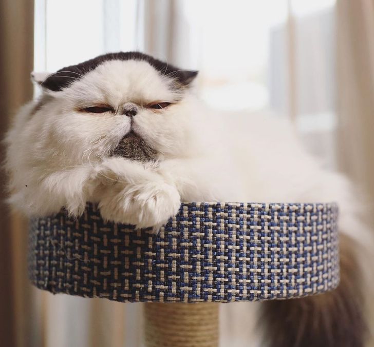 0593d15c4db728cd10b2baabc1