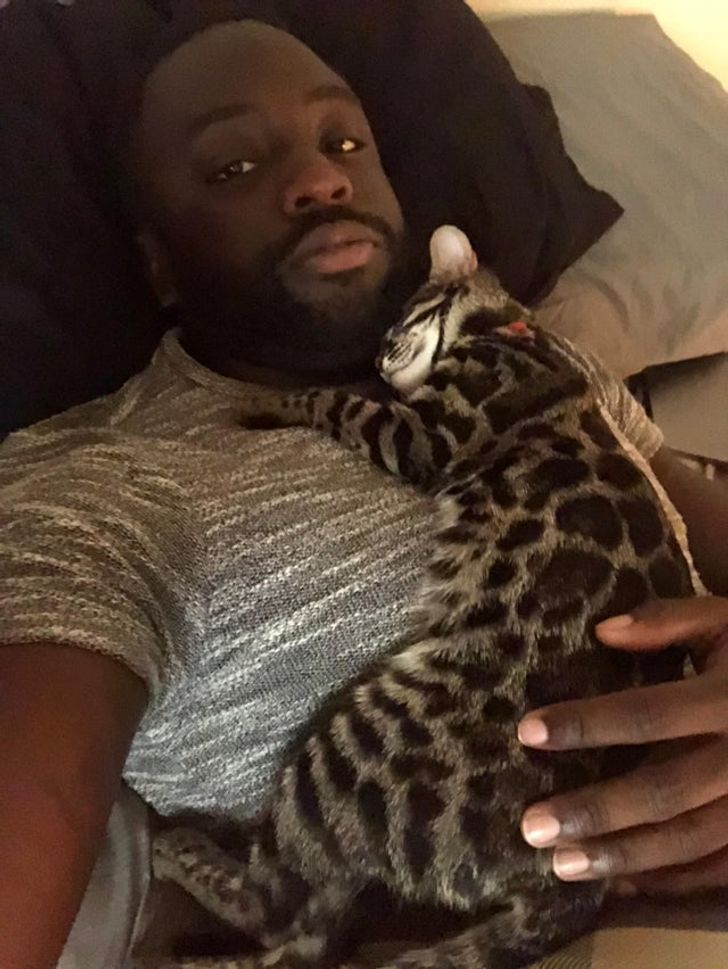 059ca15299b788d447b8521a88