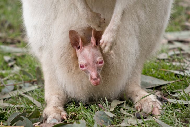 059f4c58e58eba2a5a9de067e7