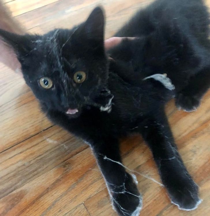 059fe950c9b856e39a40bdcfbf