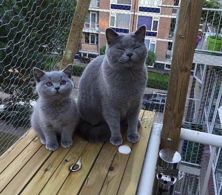 05a4045c9fa0dbe71ce0ecd117