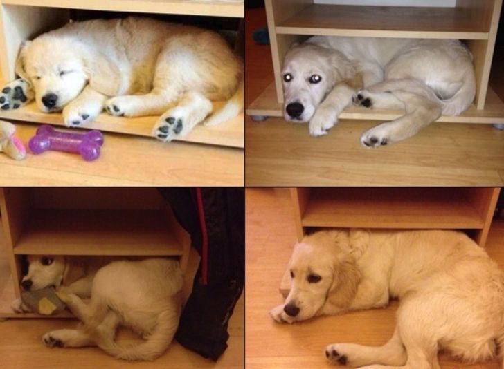 05afb45bdb807399dad44f8b37