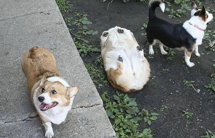 05b1805f56ab1ef03f06aa4b7c