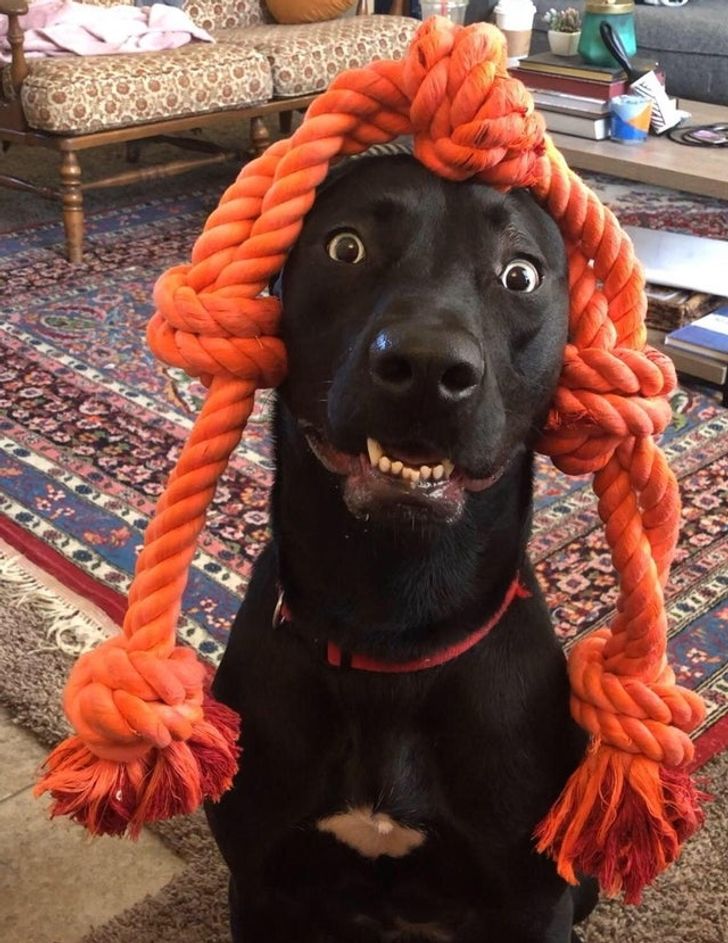 05c28650d08485ba5a9db27f23