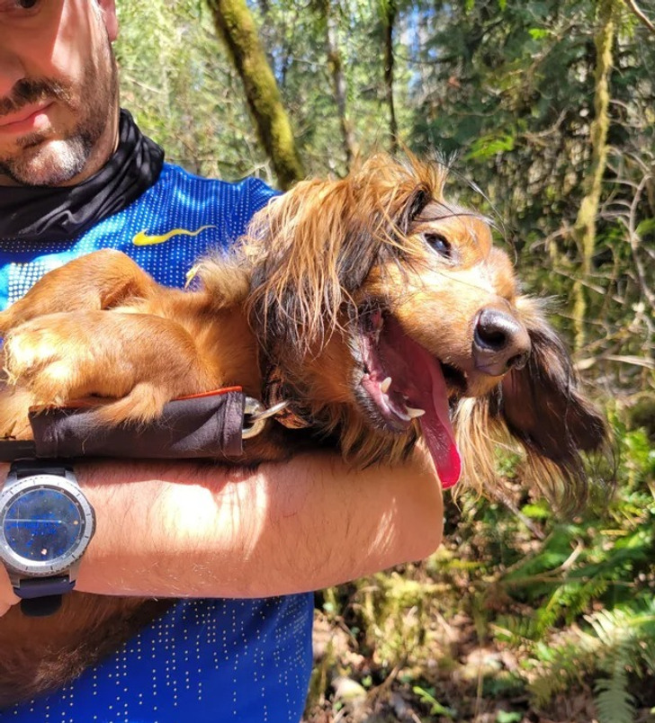 05d29159a39c07159c11cba3b3