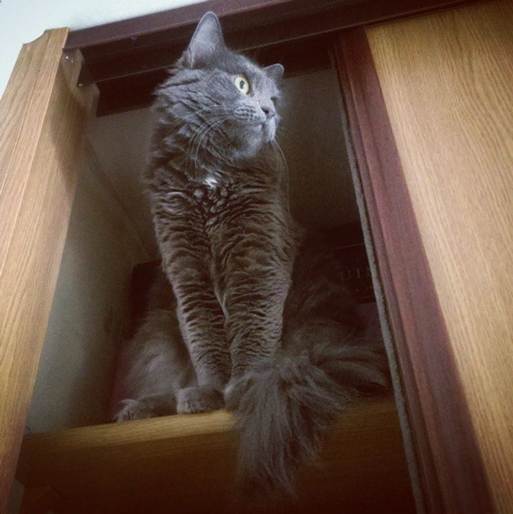 05e3cc5afe89844489989596db