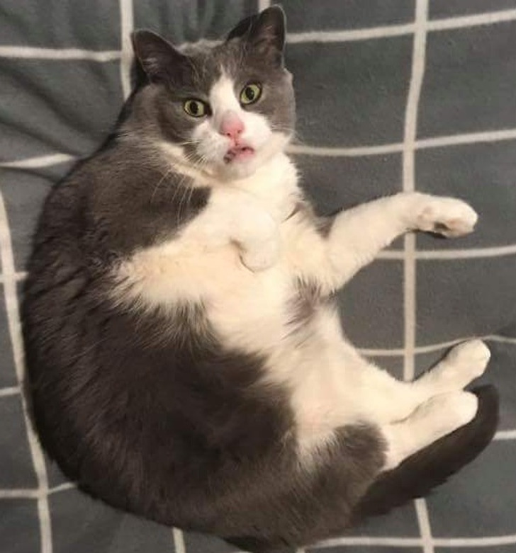 05e7c35909812c558b6442cdab 05e7c35909812c558b6442cdab