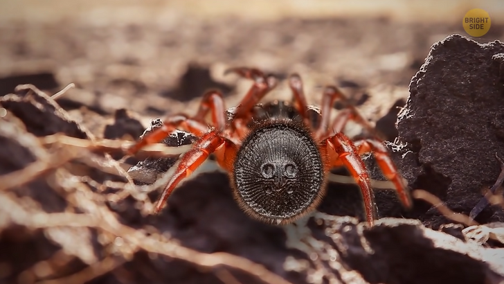 05f1305bbbae8f02d33d81a364