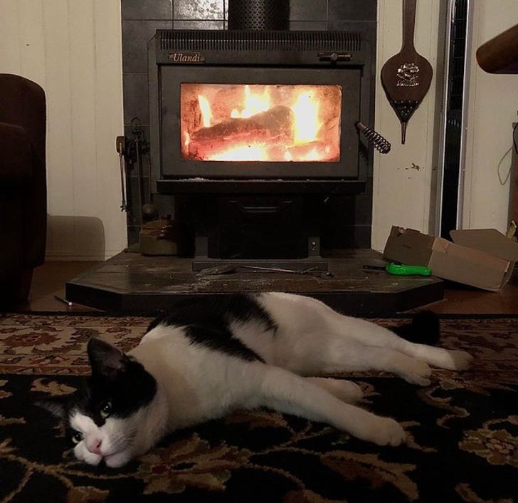 05f6cc51ba9b793bdca437901c 05f6cc51ba9b793bdca437901c