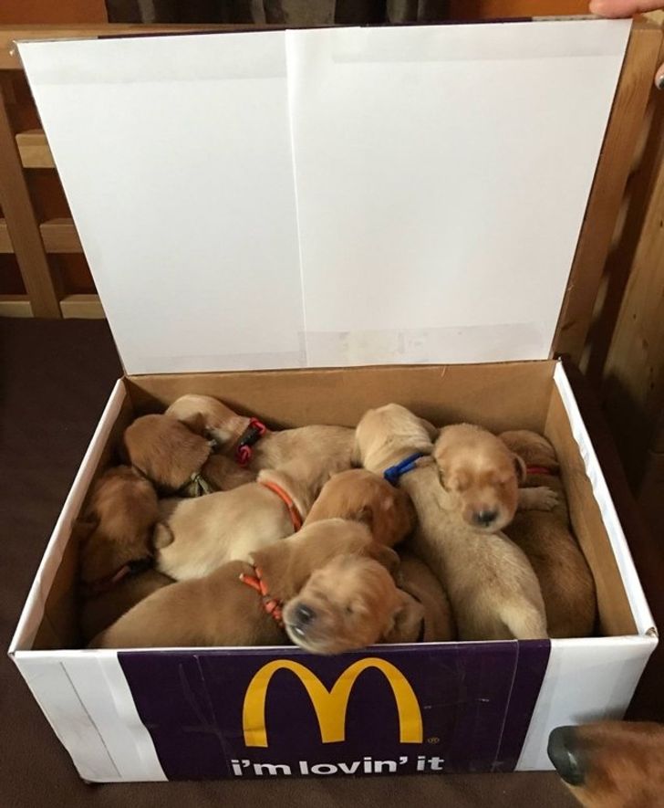 05fcfc59709ae205464f25f32a