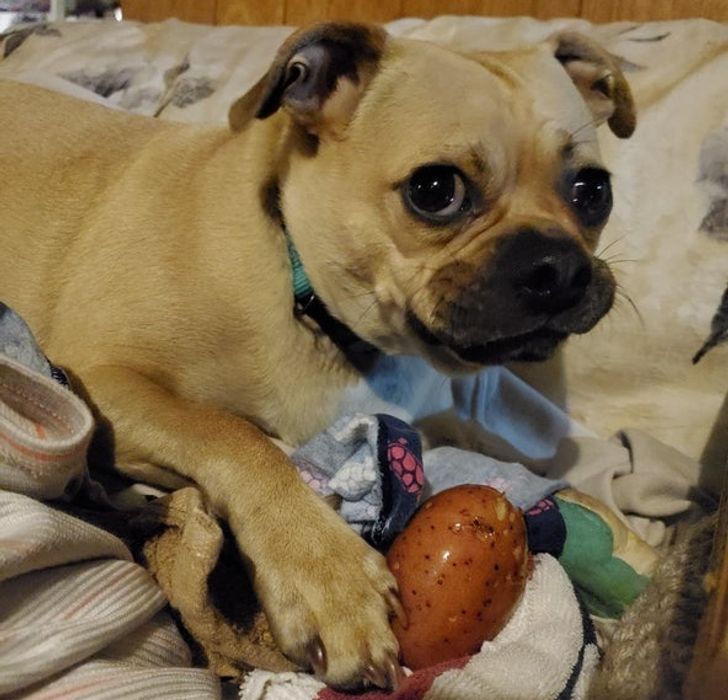 0600265253b742b1c98fc20101