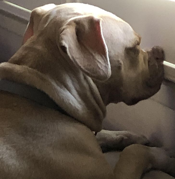 0605835212bc1163e5660d5060