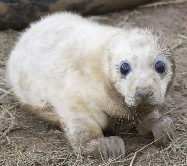 06074e549b8c9cf01a02e1a2f7