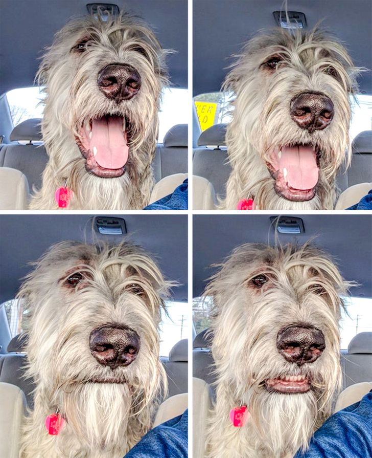 0610a35c3e85f6c6e932b039de