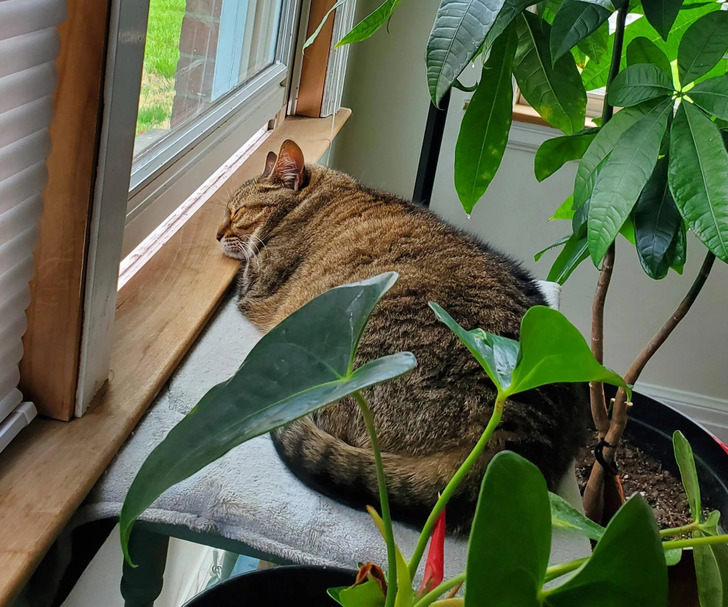 0610e95921acb21ea6fd65926d 0610e95921acb21ea6fd65926d