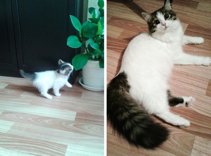 0617f35e2ea46a581140e2e906