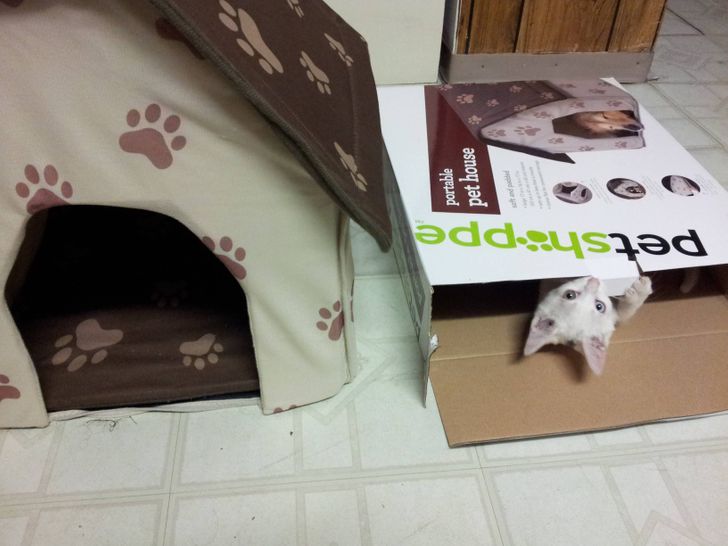 0619325c298cbfe3b10b688710