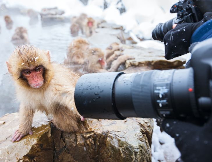 0621955eb6a4098a0679a01eb1