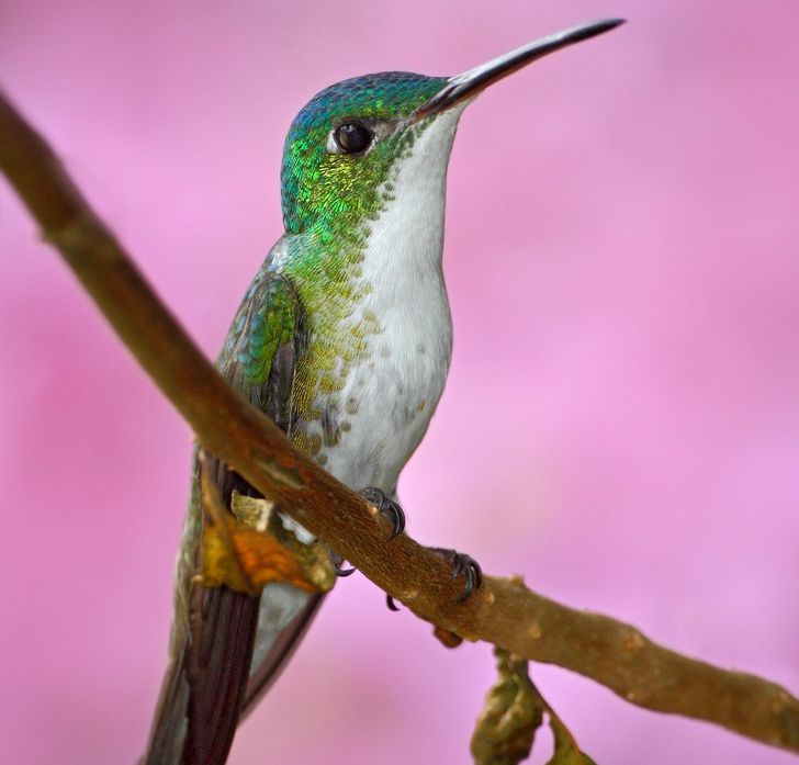 0623755cbfbd4d8c490777be65