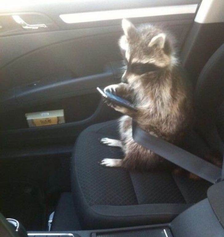 0626935dae80ccce084ea18a64