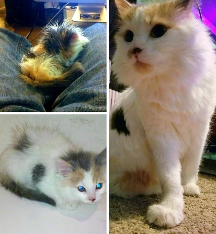 0626f65afcb7674aeeb4a31055