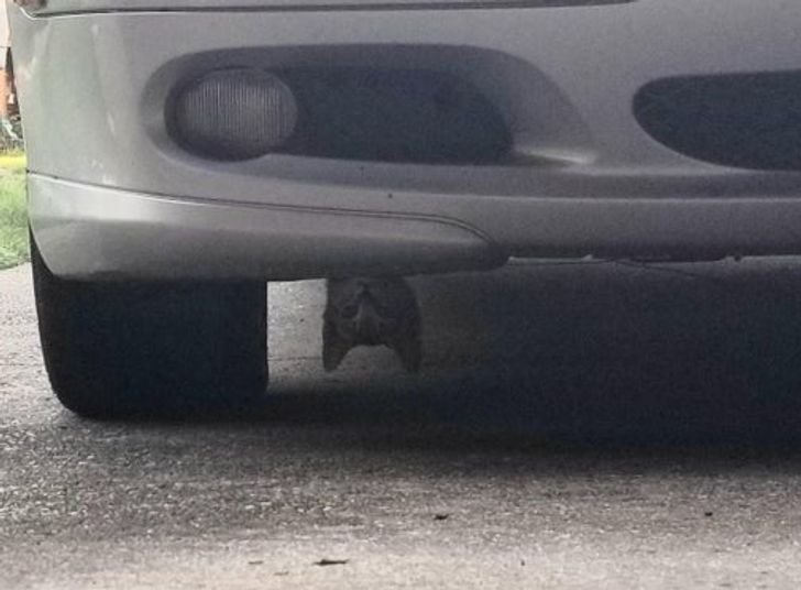 062e9b5e00bd12907ca9ce310b 062e9b5e00bd12907ca9ce310b