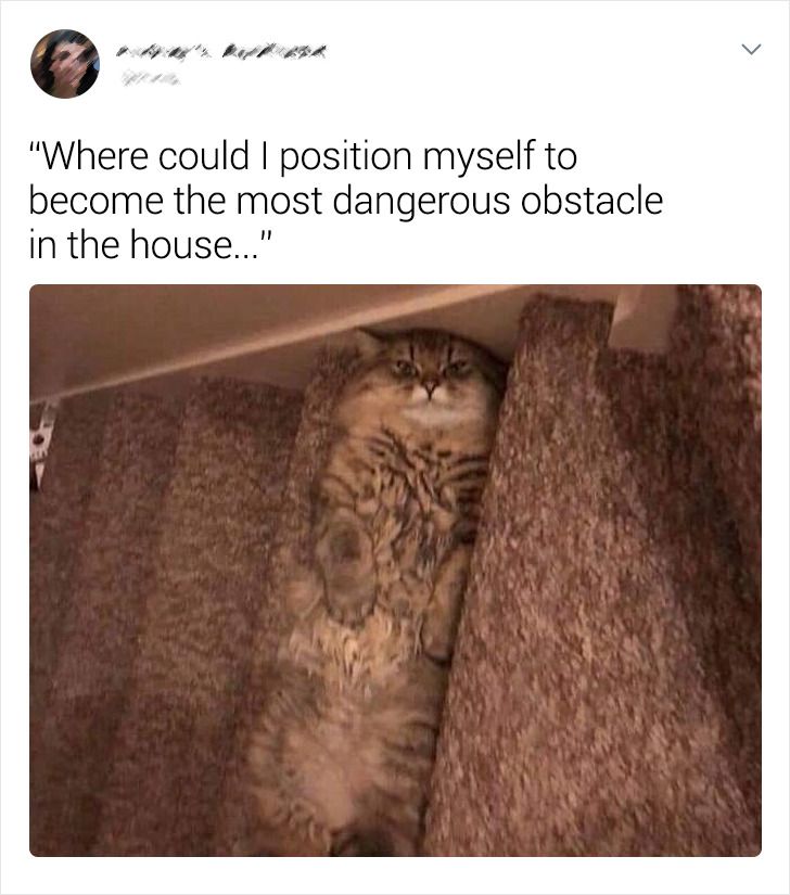 063205517c9d7d4356238bfe65