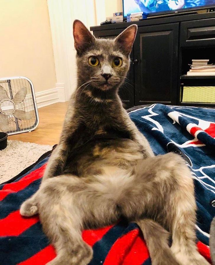 0637325ad69c35dc8faa993ddd