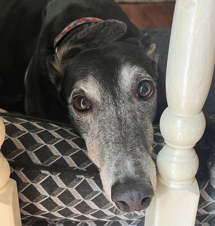 0640e55c16b2527d8a1d172757 0640e55c16b2527d8a1d172757