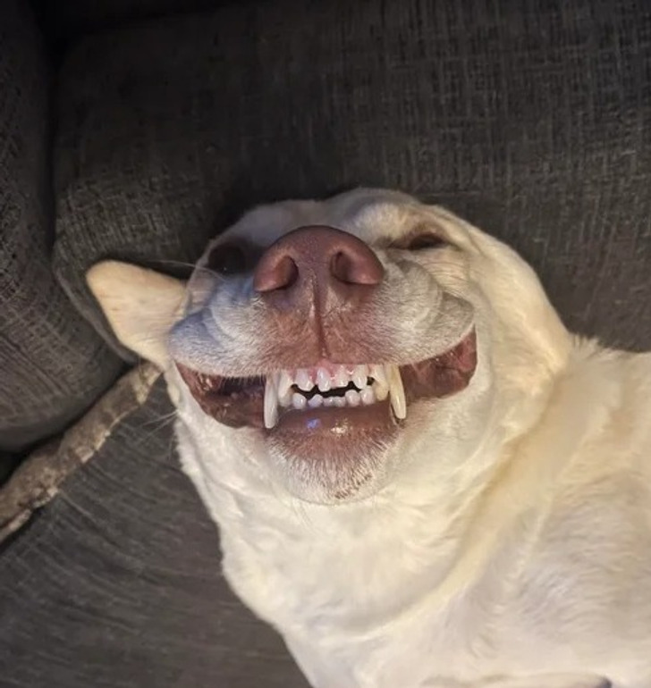 0649e65500be94bc1703152c49