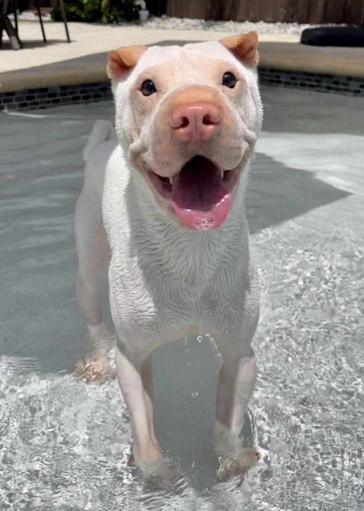 065175582da7bd36b17e98e215 065175582da7bd36b17e98e215