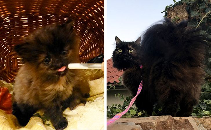 0652815902b40772018455319e