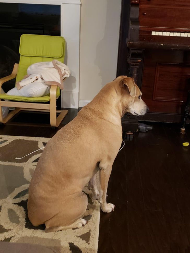 0666405b36b799df47bb3b0368