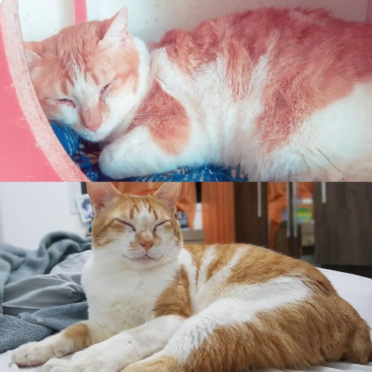 06673d5de3b1ad90833c21aa2d