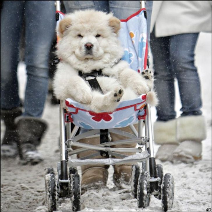 06751d56ba80a7c80569f3b08f