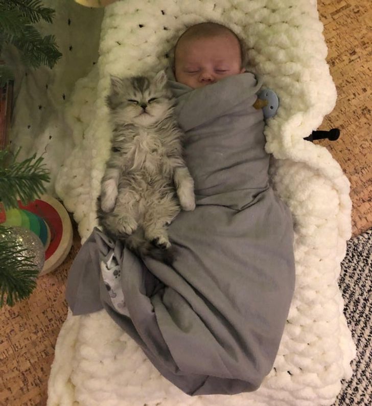 068391502f97bb6c42850e6881