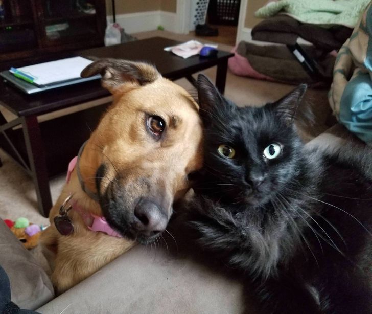 068ccb5806b8906efefe5125ac