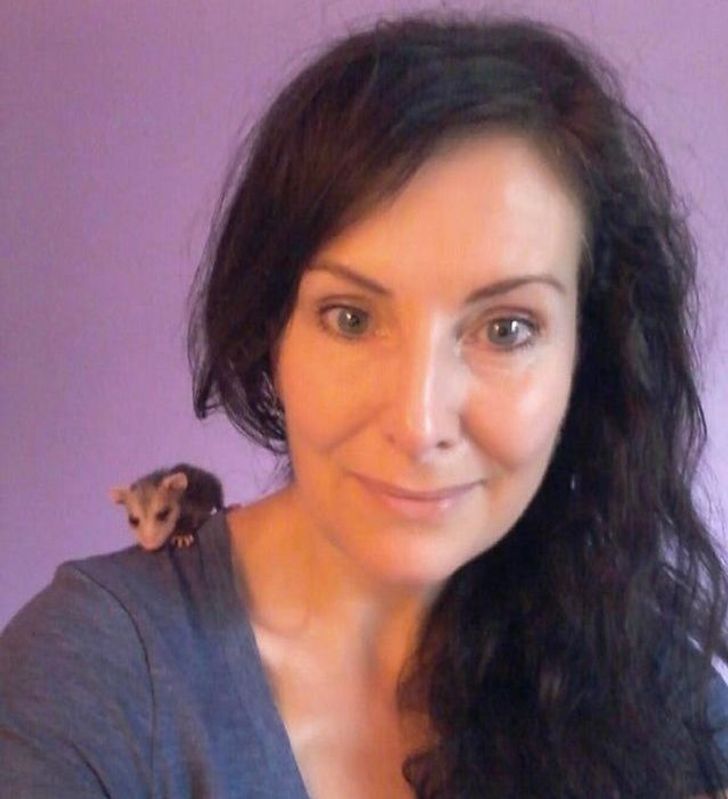 068de55e30a877b577b231dfd2