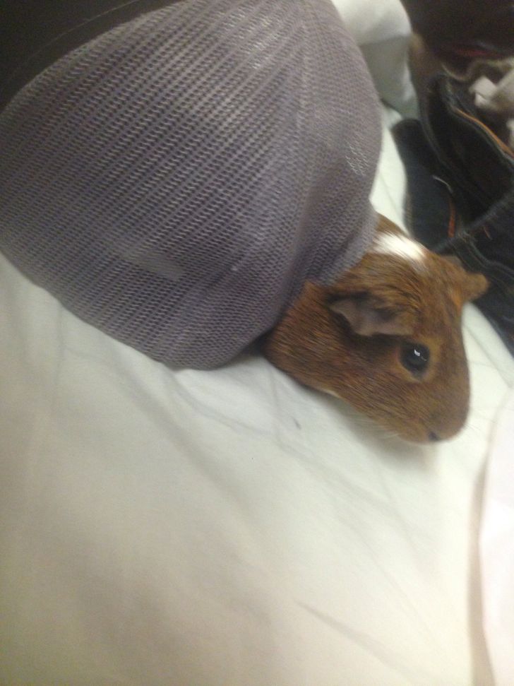 0695dc571180bf54c2b5dc2965