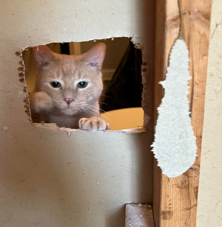 069ab759c798b55b943507e2ac 069ab759c798b55b943507e2ac