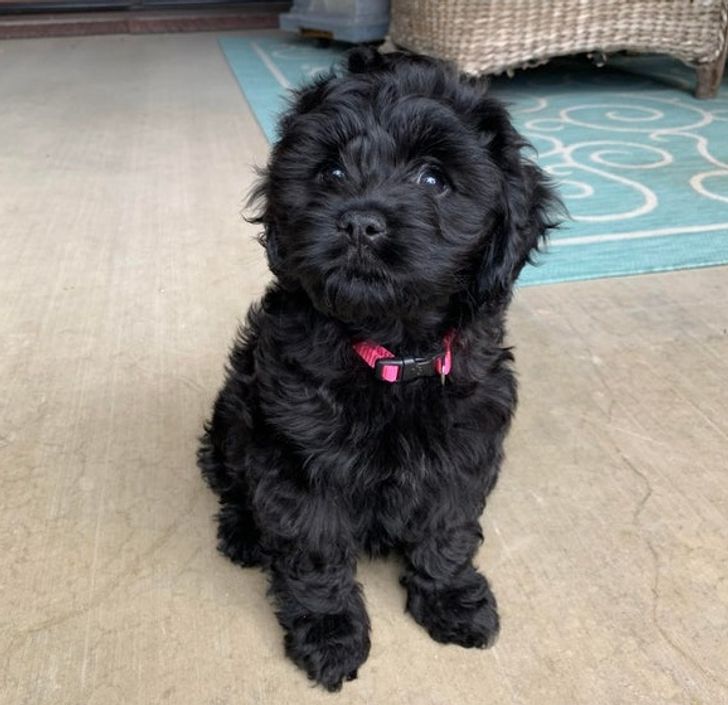 069bd35213ba38d6f8540f1646