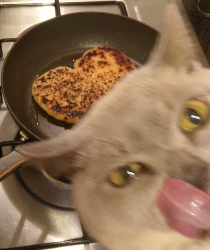 069bf4591d97395293230d5a31 069bf4591d97395293230d5a31