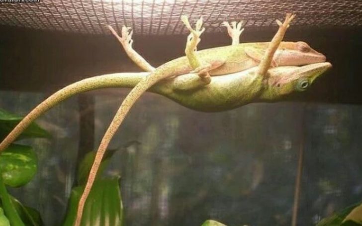 069ca55f18a5719f91fcd1fcd3